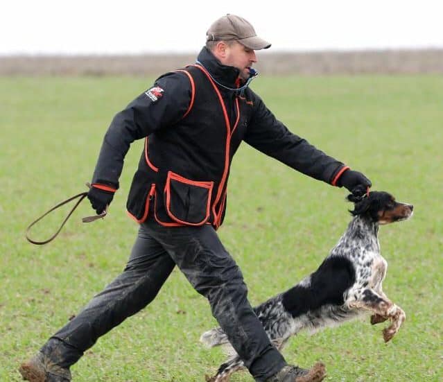 Le dressage canin à Nomain pour renforcer l'obéissance et la complicité avec votre chien.