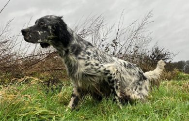 PHOTO-2025-01-24-16-39-50