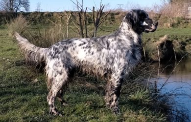 Pam-de-la-Tour-Madeloc